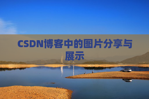 CSDN博客中的图片分享与展示